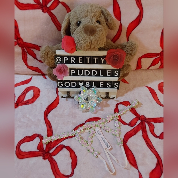 💐 S 💕 VS Dream Angels Rosebud Embroidery Crotchless V-String Panty 💐 - Picture 6 of 16